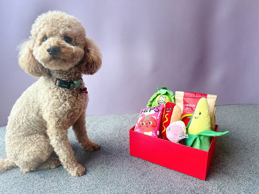 🐾 Pet Toy Surprise Box – A Bundle of Joy for Your Furry Friend!
