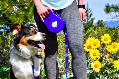 3-in-1 Retractable Dog Leash with Built-in Water Bottle & Bowl